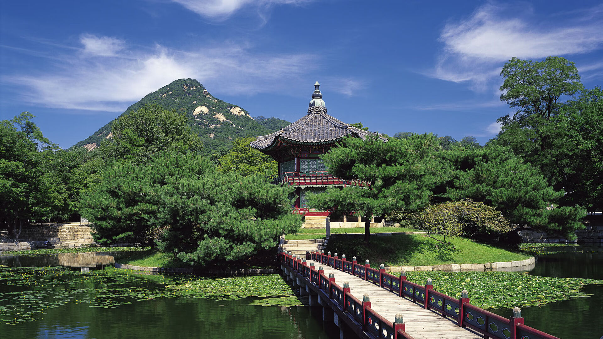 世界体操公开赛:高难度与完成度并重获胜,世界体操联赛